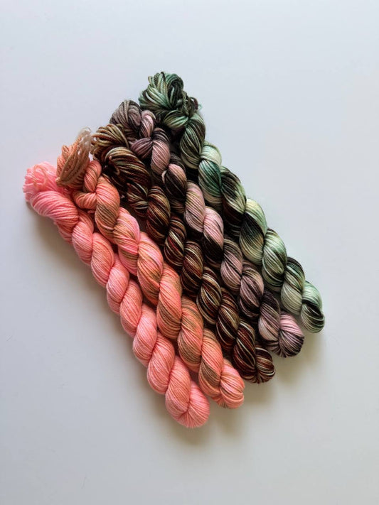 Hand Dyed Sock Yarn Mini Set | Fingering Weight Merino Nylon | 5×20g Mini Skeins | Wild Bloom 🌿| #1002