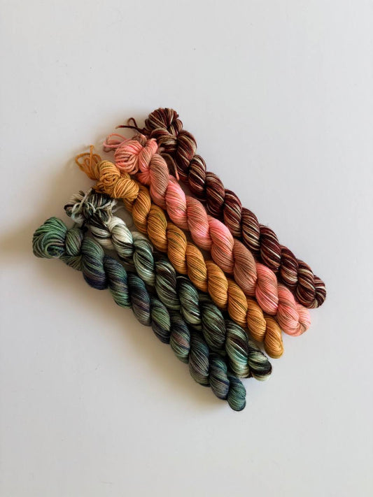 Hand Dyed Sock Yarn Mini Set | Fingering Weight Merino Nylon | 5×20g Mini Skeins | Autumn Ember 🍂| #1006