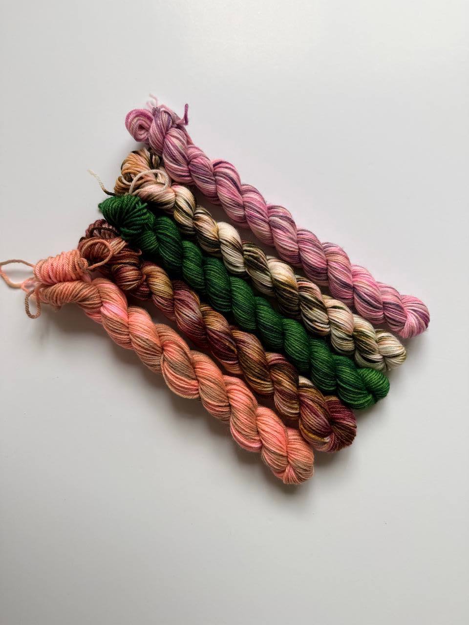 Hand Dyed Sock Yarn Mini Set | Fingering Weight Merino Nylon | 5×20g Mini Skeins | Blossom Trail 🌸| #1017