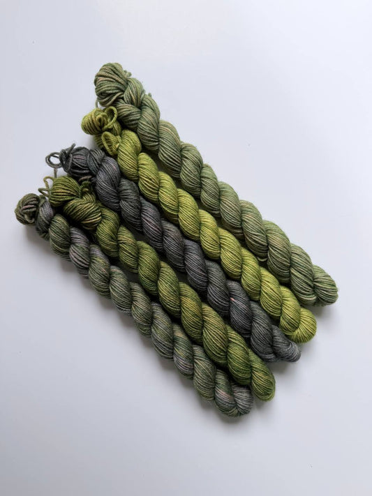 Hand Dyed Sock Yarn Mini Set | Fingering Weight Merino Nylon | 5×20g Mini Skeins | Moss Veil 🌿| #1018