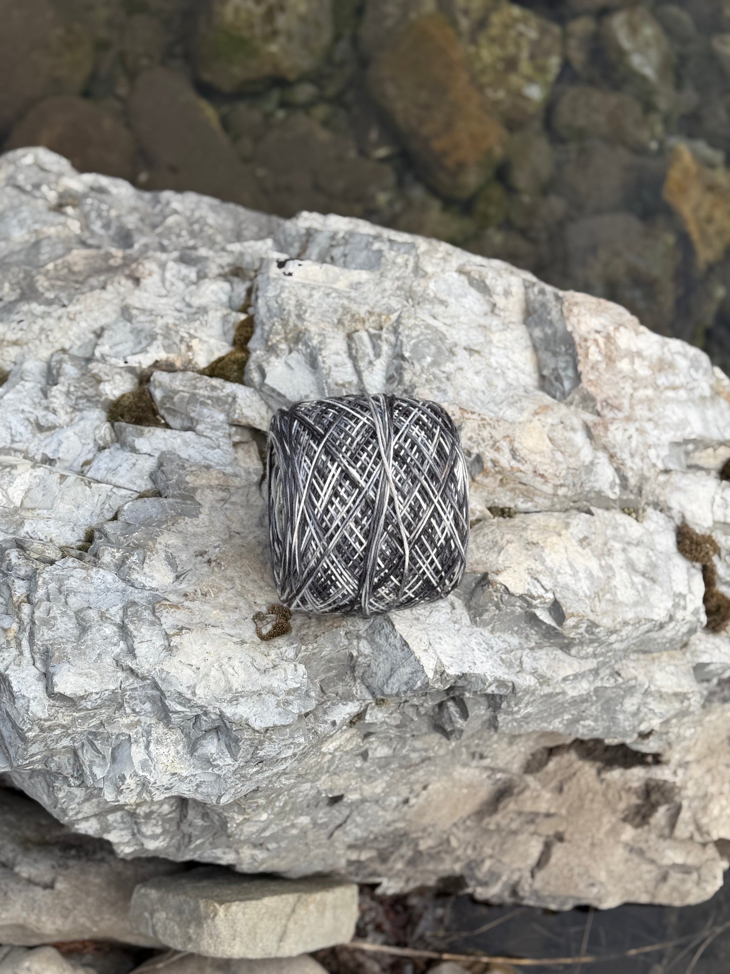 🌈 Echoes of Color Collection