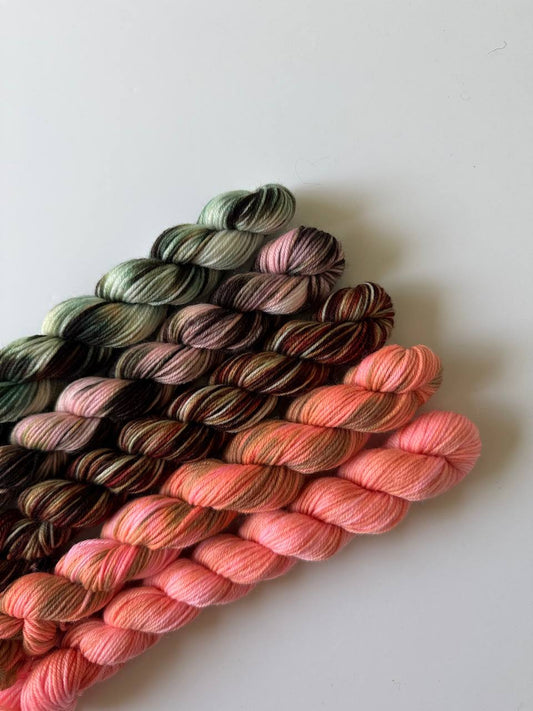 Hand Dyed Sock Yarn Mini Set | Fingering Weight Merino Nylon | 5×20g Mini Skeins | Wild Bloom 🌿| #1002