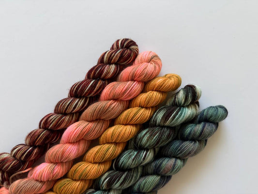 Hand Dyed Sock Yarn Mini Set | Fingering Weight Merino Nylon | 5×20g Mini Skeins | Autumn Ember 🍂| #1006