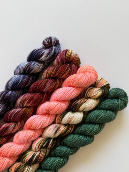 Hand Dyed Sock Yarn Mini Set | Fingering Weight Merino Nylon | 5×20g Mini Skeins | Twilight Garden 🌌| #1008