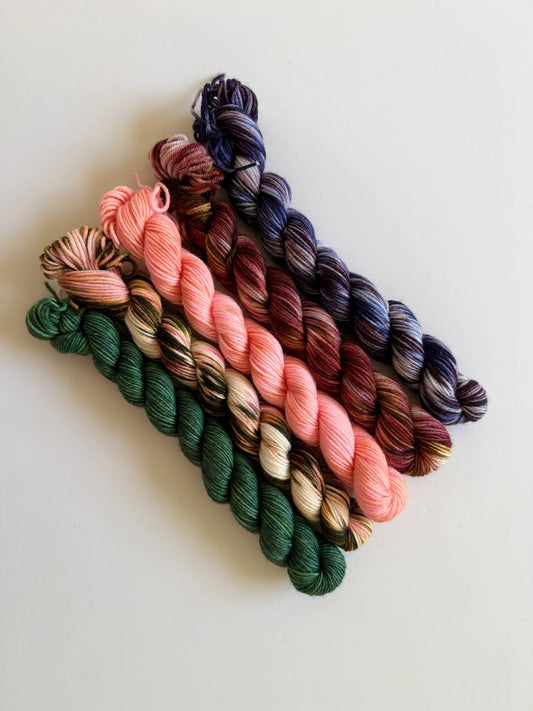 Hand Dyed Sock Yarn Mini Set | Fingering Weight Merino Nylon | 5×20g Mini Skeins | Twilight Garden 🌌| #1008