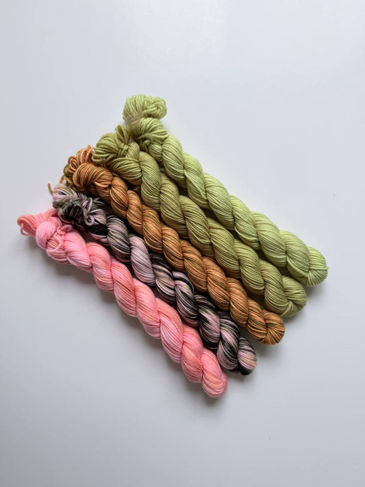 Hand Dyed Sock Yarn Mini Set | Fingering Weight Merino Nylon | 5×20g Mini Skeins |Spring Shadow 🌿| #1013