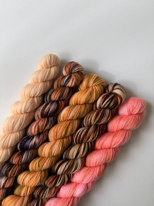 Hand Dyed Sock Yarn Mini Set | Fingering Weight Merino Nylon | 5×20g Mini Skeins | Warm Horizon 🌅| #1019