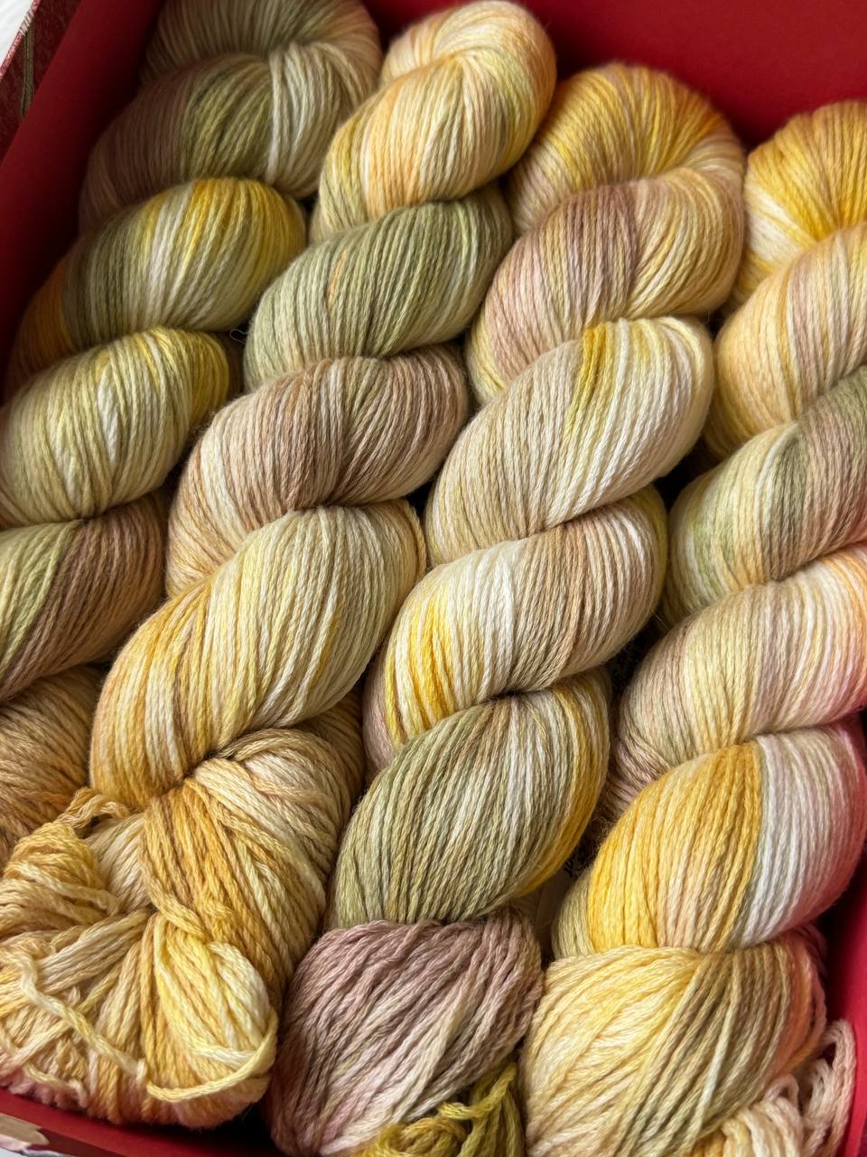 Sock Yarn Fingering Hand Dyed Merino Nylon 100g 420m – Aurora Walk Golden Meadow